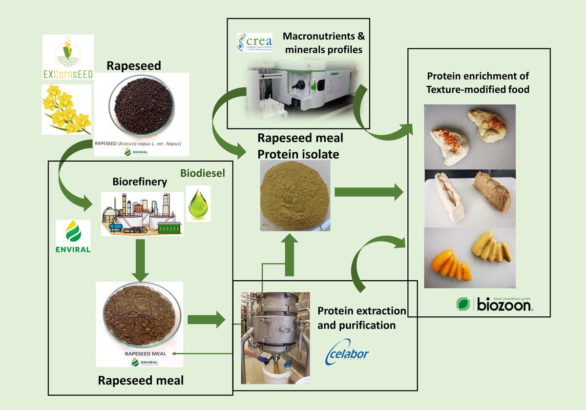#mdpifoods 📢This paper has been viewed 2787 times and downloaded 904 times! 📌Title: Application of Rapeseed Meal #Protein Isolate as a #Supplement to Texture-Modified Food for the #Elderly by Gabriella Di Lena et al @GabriellaDiLen2 👉Link: mdpi.com/2304-8158/12/6…