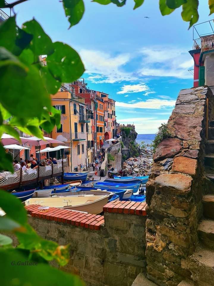 🇮🇹 Riomaggiore, La Spezia, Liguria 📷 Giusy Gullace #cinqueterre #riomaggiore #liguria #laspezia #beautiful #instagood #summer #cat #gatto #awesomephoto #photooftheday #travel #travelplace #travelphoto #italy #italytrip #italytravel #italia #italytour #italian #italyintheheart