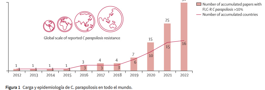 Guías de Micro tweet media