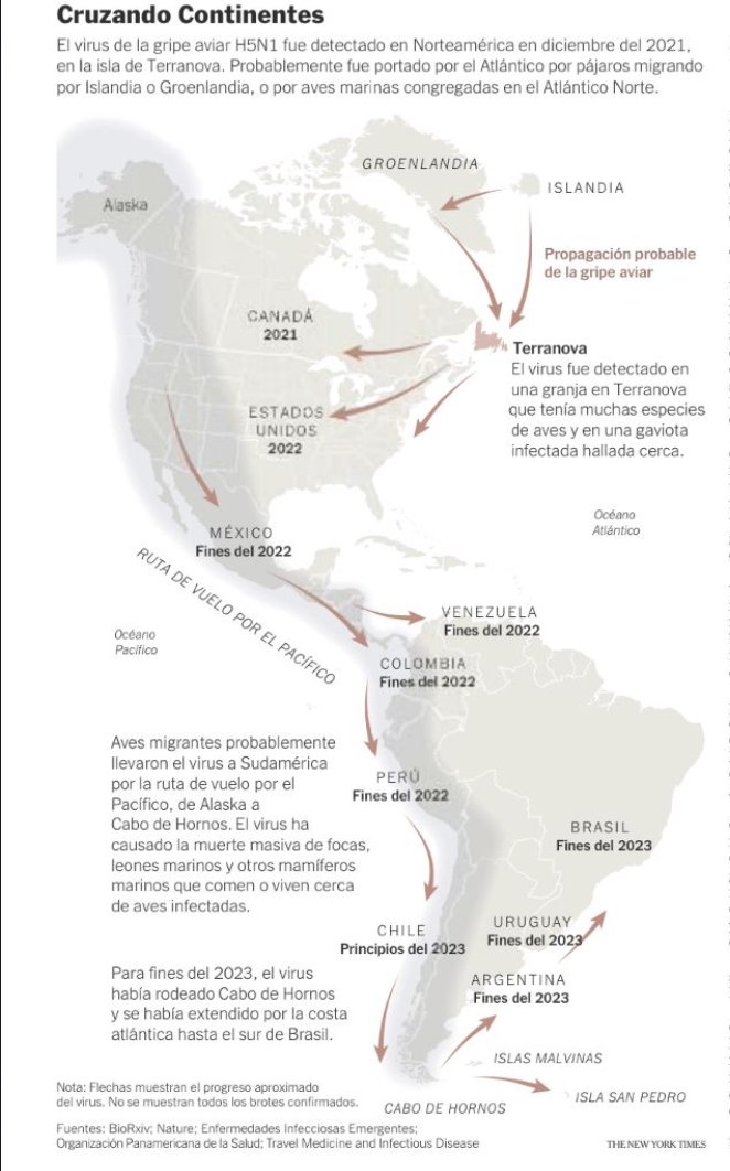 En esta imagen del NYTimes se ve la velocidad con que la influenza aviar H5N1 se ha diseminado en aves de América, a partir de dic 2021. Le tomó menos de 2 años llegar de Terranova al Cono Sur. Ahora ha infectado ganado lechero en EEUU.