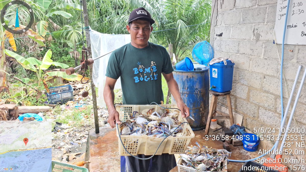 ekoprioraharjo's tweet photo. Sabtu (04/05/2024)
Hasil tangkapan Rajungan  sbyk 8,0 kg oleh Bp. Kuperani di KUB. CITRA NELAYAN SEI. LEMBU Desa Sei Lembu harga jual Rp 40.000/kg  dgn  total nilai kotor Rp 320.000.
#GiatLuhkanSatminkalBWI 
#luhlapor 
#TanahBumbu 
@bppsdm_bp3bwi
@pusluh_bppsdm
@bppsdm_kp https://t.co/ceITe6jC5b
