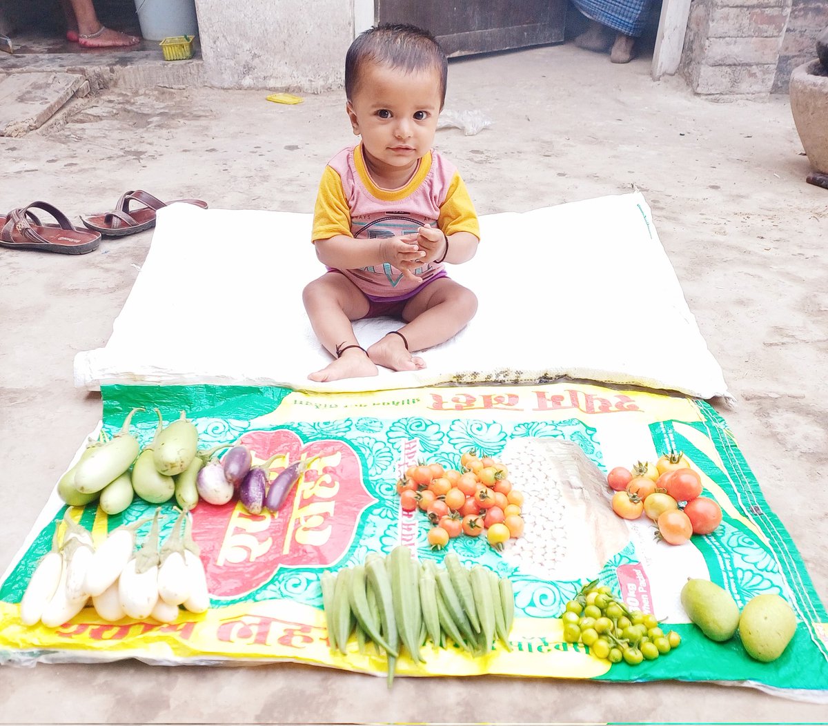 छोटा #किसान बेटी #तृषा_मौर्य 
#गांव #किसानों #desi #agriculture #picturechallenge #सुप्रभात #highlightseveryone #followerseveryone #agriculturelife #agricultureworldwide