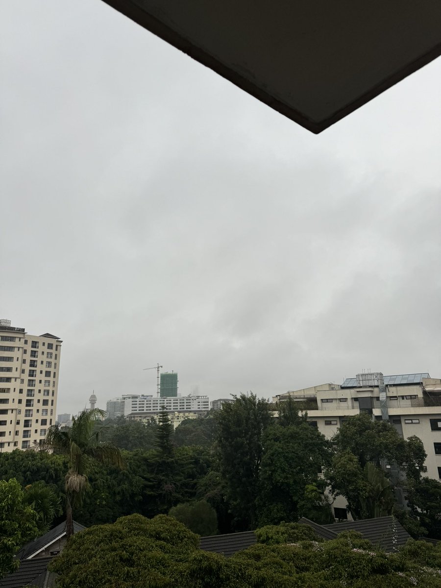 I love days like this in Nairobi. Its 7:45am and yet its uniformly gray with no Sun in sight. The birds were late to get up and mainly remain quiet and nest bound. It’s damp and wet all round. You can feel the earth is recharging and taking a deep breath! Dunia ina pumua🥹