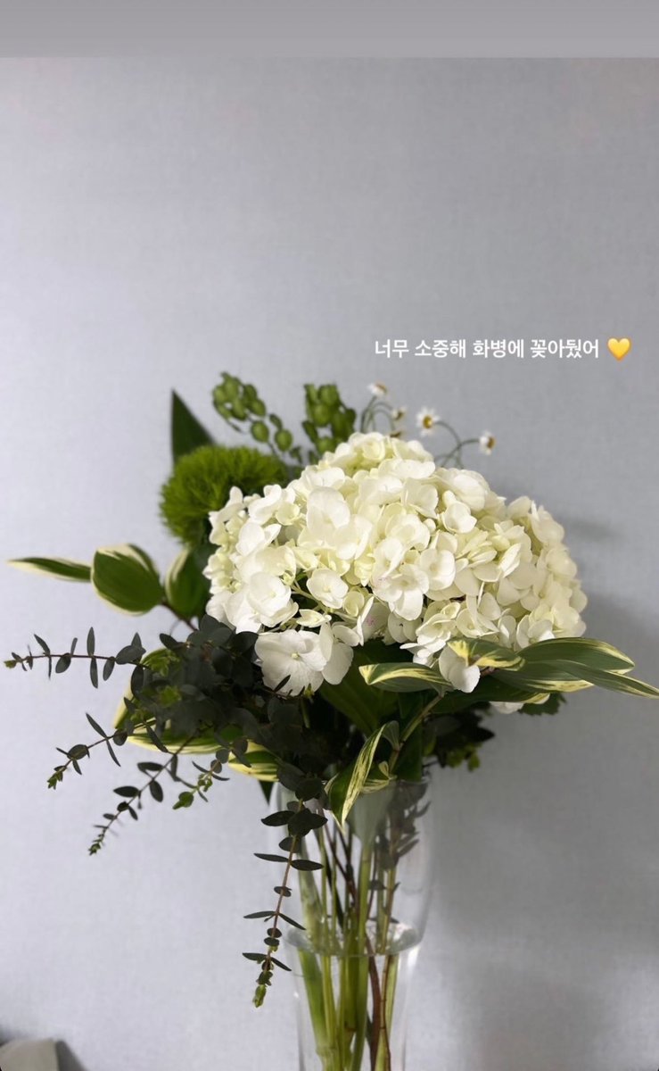 HRJFEED's tweet image. more flowers from renjun for tds3 staff! hydrangeas for the coordi team and roses for the performance/medical team 🥹🤍
