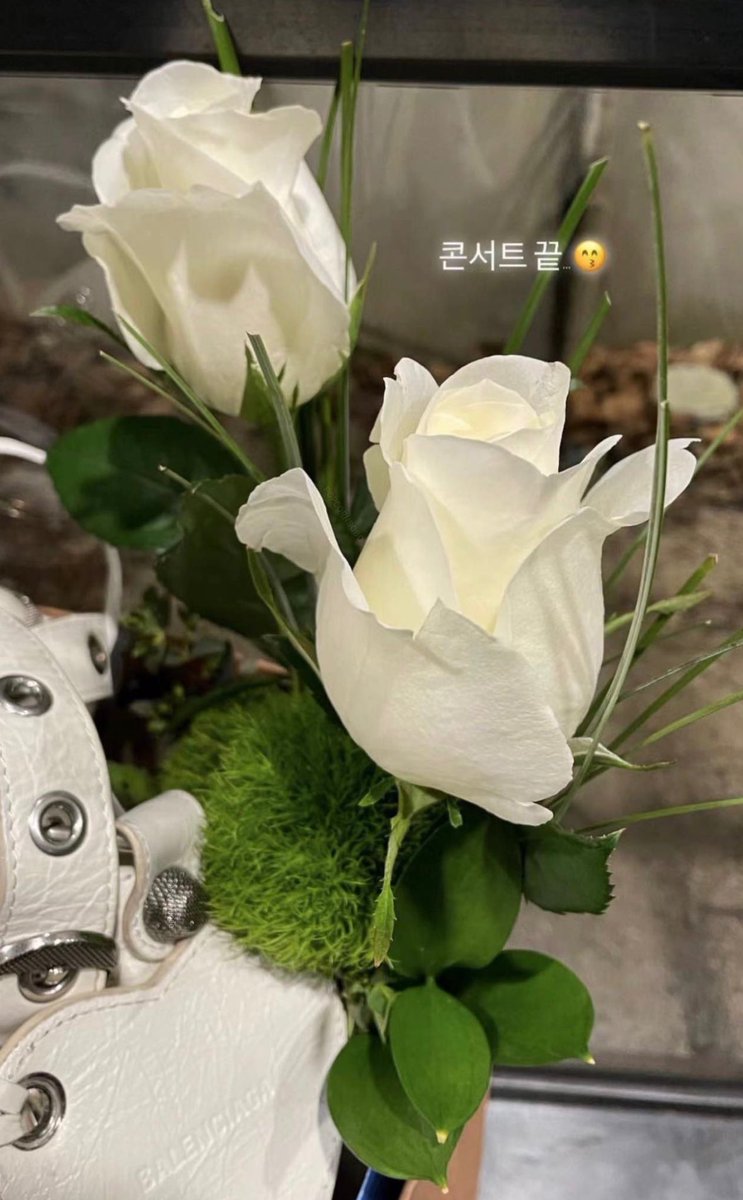 HRJFEED's tweet image. more flowers from renjun for tds3 staff! hydrangeas for the coordi team and roses for the performance/medical team 🥹🤍