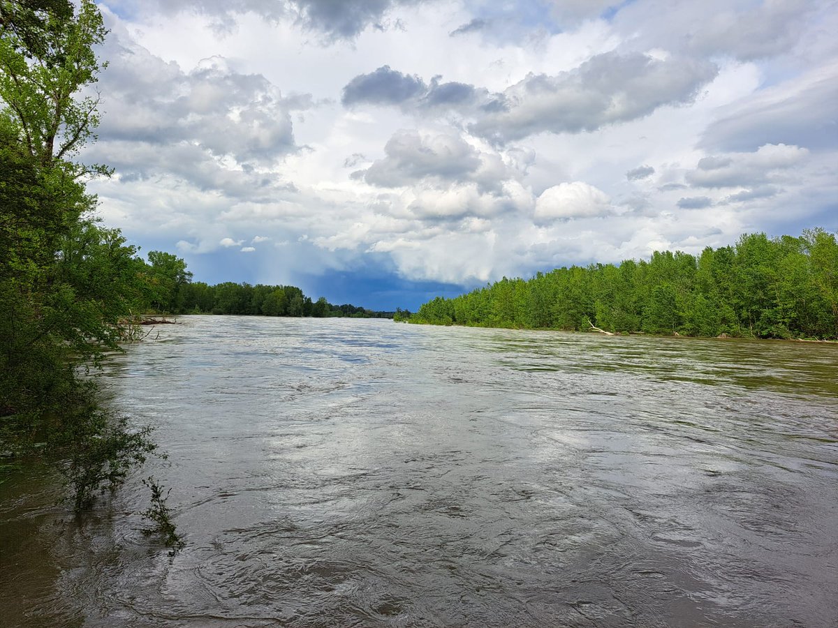 Il passe 650m3/s d'eau de l'Allier à Chatel de Neuvre ce jour. Soit 2,34Mm3/h. Il suffirait de l'équivalent de 20h de #stockage pour satisfaire la totalité des besoin en irrigation du bassin Sioule et Allier. Je vous rassure les nappes phréatiques débordent...