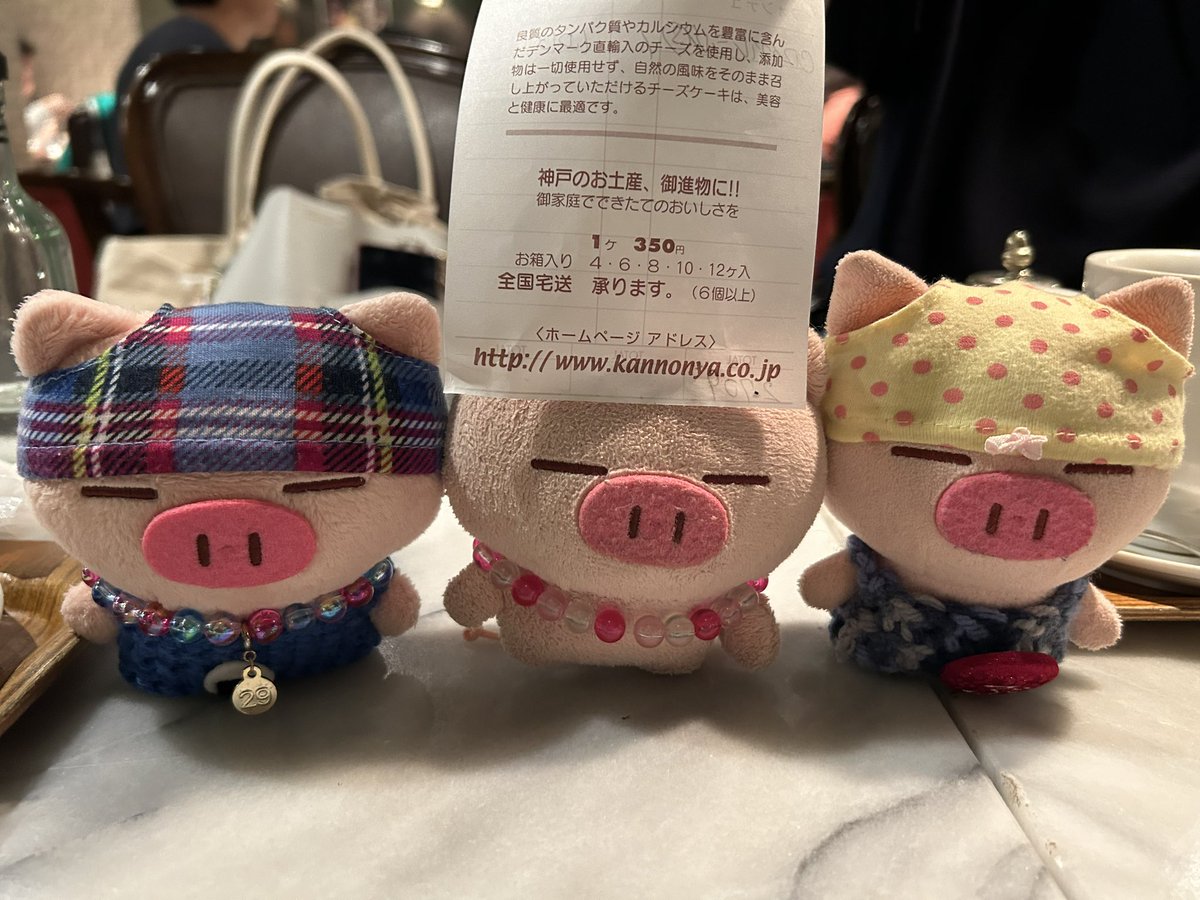 osafWikmbb5VVnK's tweet image. 【ぶたた会】
今日は関東ぶたたが遊びに来てくれたので、みぃぶぅと一緒にお出迎え🐽
プチぶたた会だよ🐽

先日のぱんてー団記念日の話とか、色々情報交換してきたんだ🐽

美味しいケーキも食べて満足だぞ🐽

最後はみんなで記念撮影だよ🐽

まるぱんまた遊びにきてね🐽

#ぶたた