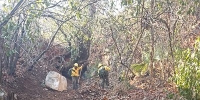 Controla Comisión Estatal Forestal reactivación de incendio en la Mixteca
labarrainformativa.com/2024/05/05/con…