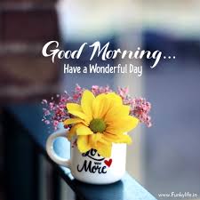 Assalam o Alaikum
Good Morning