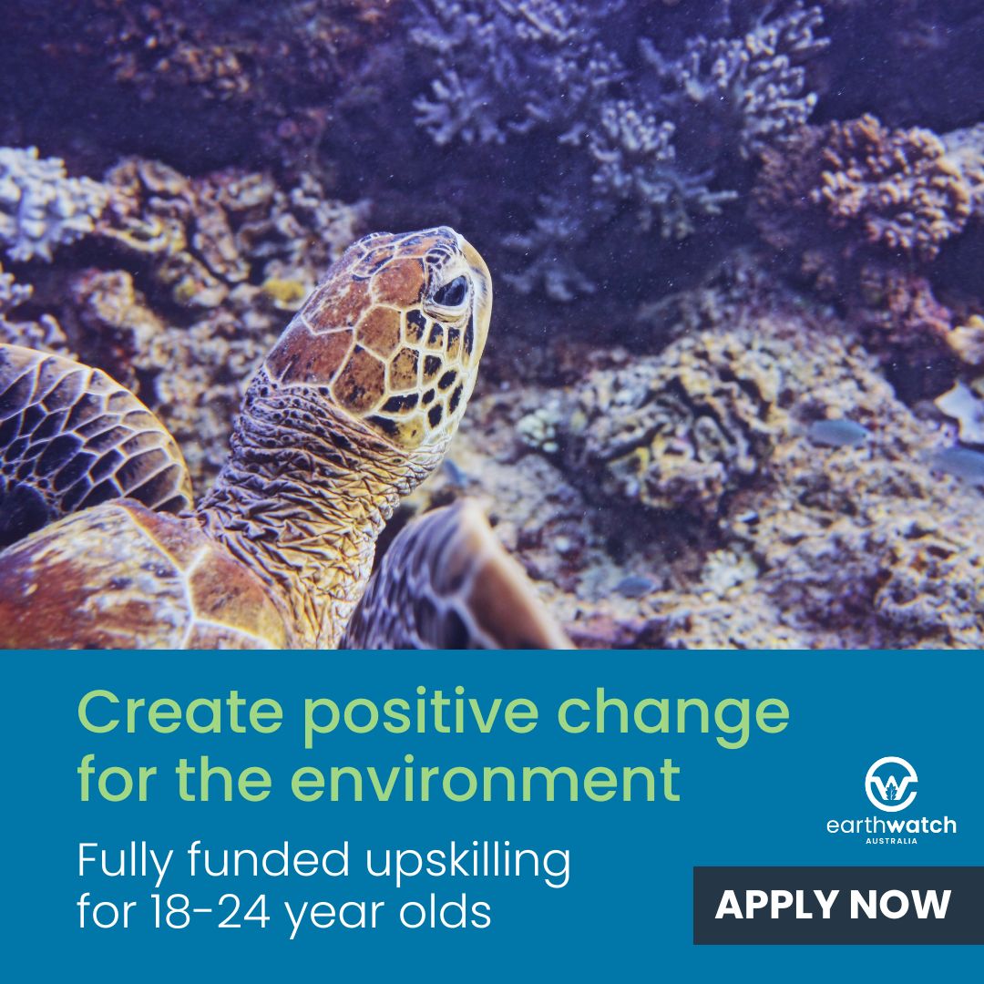 How do you want to change your environment & local community? 
Know a young leader who's ready to take action? Spread the word and apply now 👉 buff.ly/3vcbfhd  
#environmentalscience #citizenscience #youthsupport #environmentaleducation #youthdevelopment #youthleadership