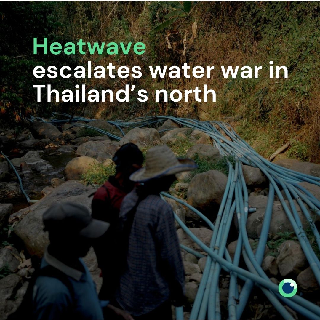 🔥A heatwave and a long drought influenced by El Niño weather patterns have escalated a water dispute in a community in Thailand’s north, 💦with rice and tangerine farmers contesting dwindling local water supplies. @earthjournalism @WaterPartnersAU Read: bit.ly/3UOS2fX