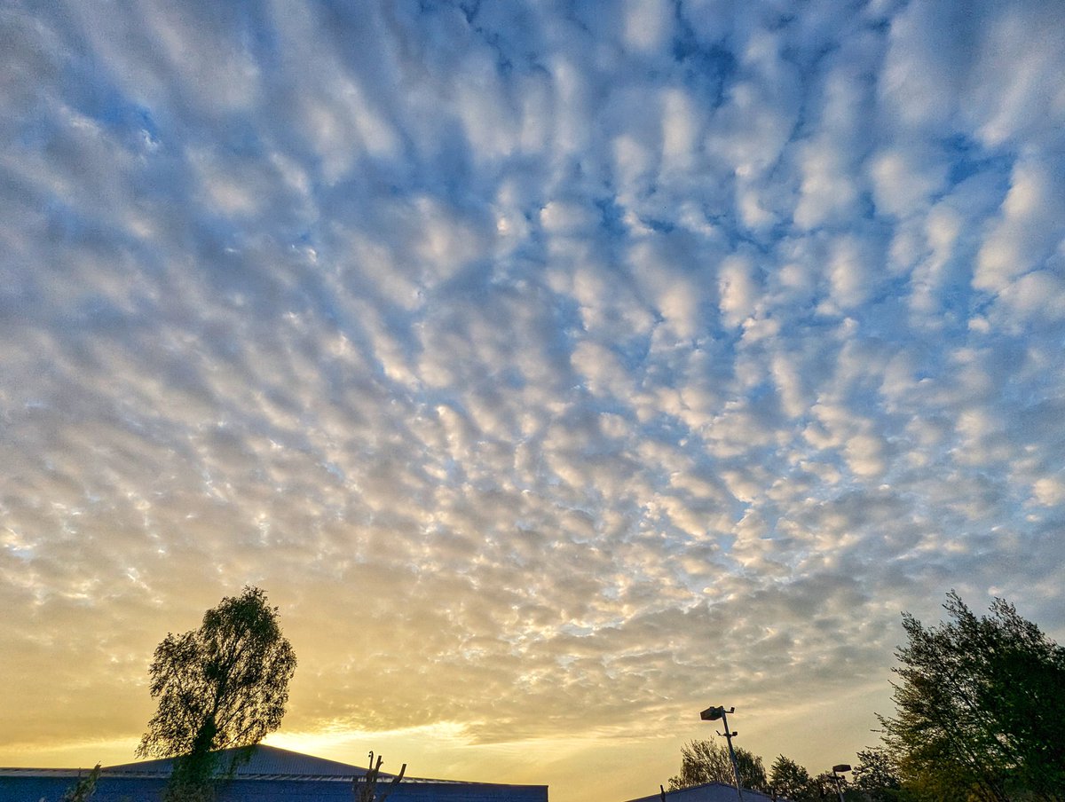 Awesome altocumulus sky over Telford this morning. #loveukweather