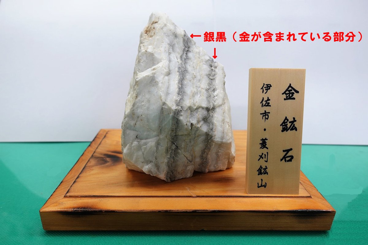 伊佐の話題 テレビ朝日系「池上彰のニュースそうだったのか!!」で