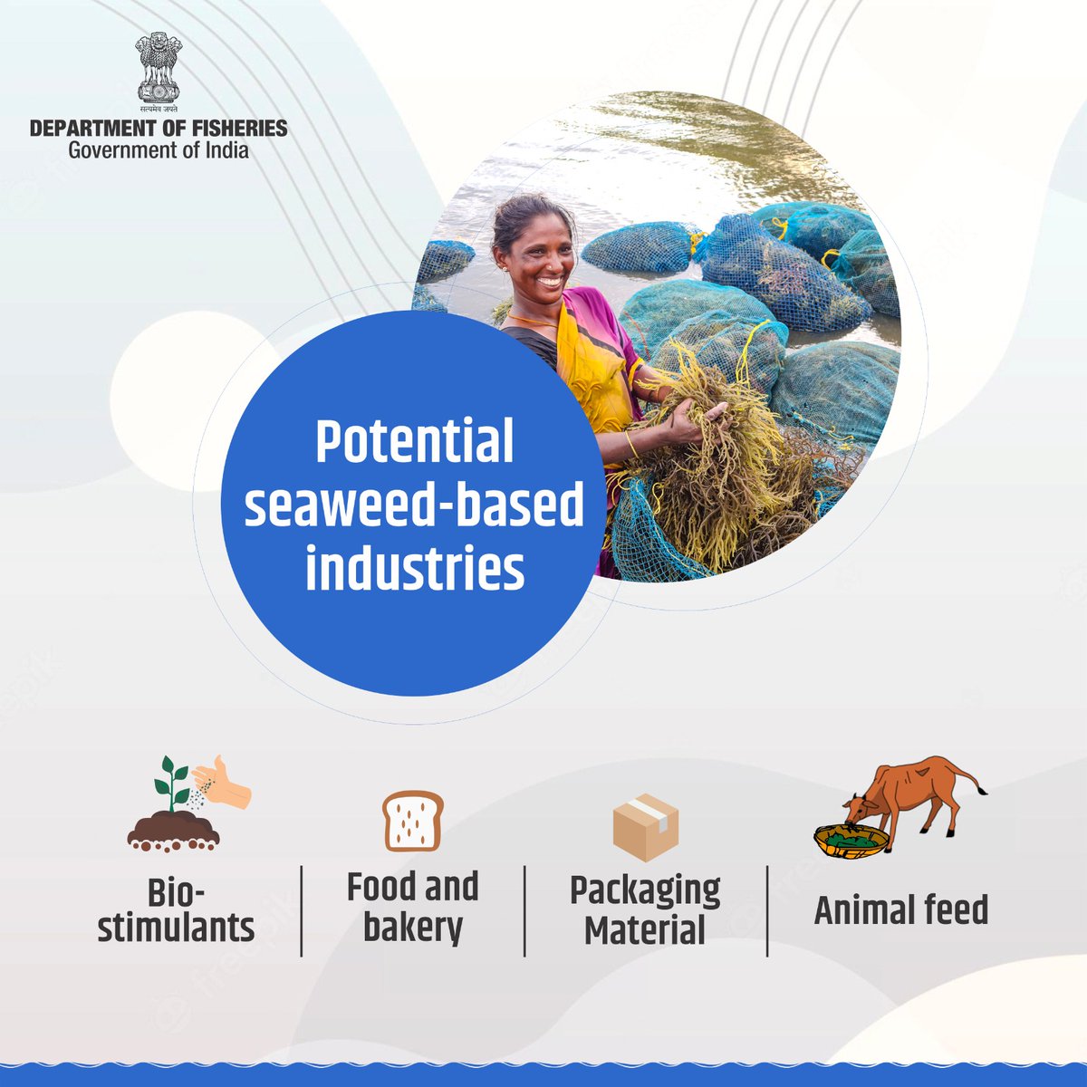 Seaweed is a versatile resource, serving as bio-stimulants, food and bakery, packaging materials, and animal feed. #SeaweedBenefits #SustainableSolutions #MakeInIndia