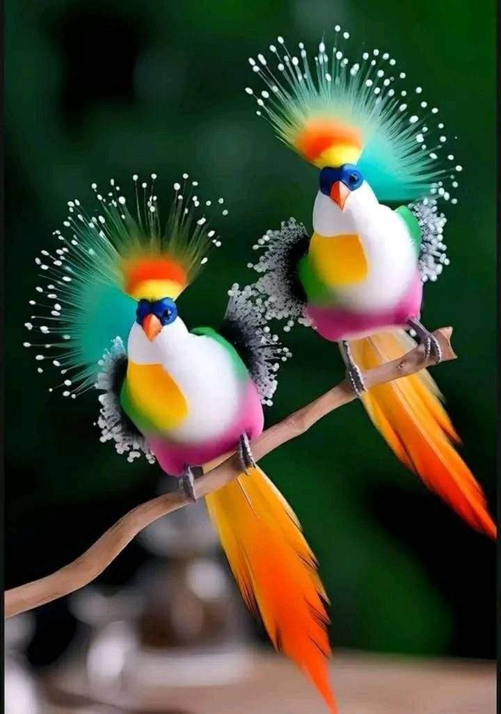 Beautiful Birds 🐦

#thebeautifulbirds #Birds
#BIRDSTORY