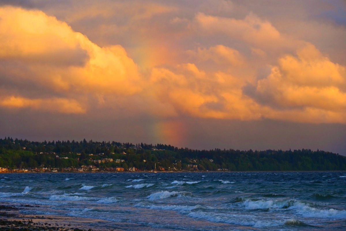 I walked to the beach and saw this beautiful rainbow tonight. #westseattle #wawx
#PNW #rainbow