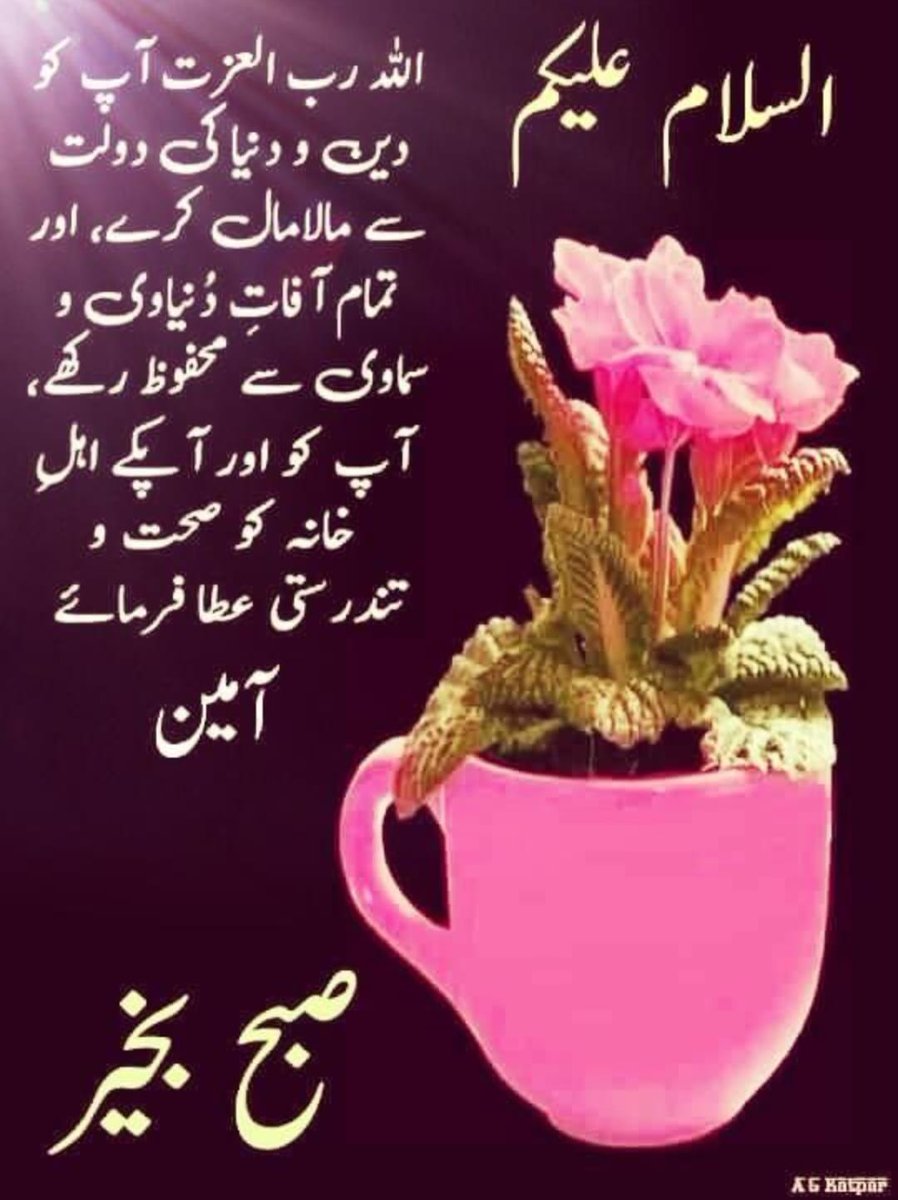 السلام علیکم
Good morning
Have a good day ahead #MORNINGSUN