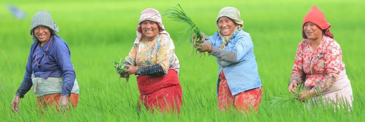 For over 20 years, the UNDP–EU partnership has been improving people’s lives, amplifying their voices and promoting local solutions to achieve the SDGs. More about the efforts of EU & UNDP towards building climate resilience in 🇳🇵.👉shorturl.at/CEQY8 #StrongerTogether