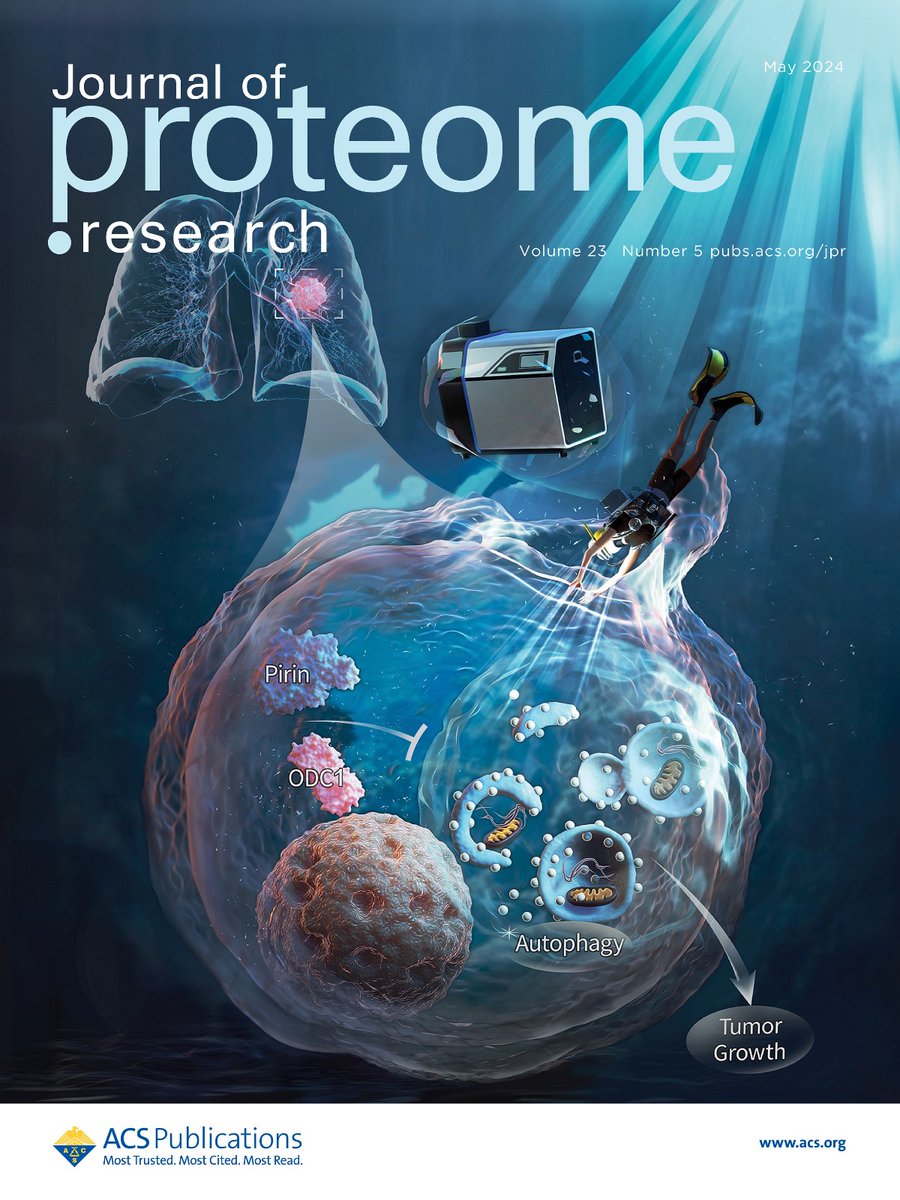 The latest issue of Journal of Proteome Research is live! On the cover: 'Pirin Promotes the Progression of Non-Small-Cell Lung Cancer by Increasing ODC1 to Suppress Autophagy' Read it here: go.acs.org/9e1