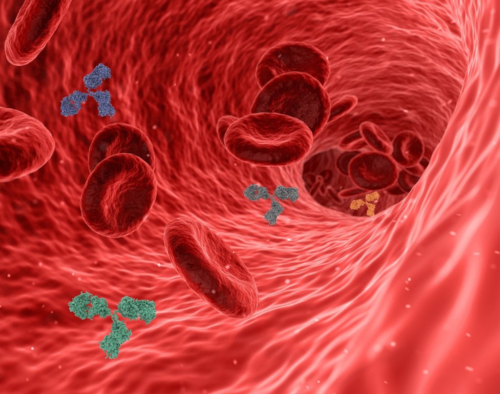 Researchers from @StellenboschUni South Africa, explored whether a potential relationship between herpesvirus infection & endothelial dysfunction may contribute towards the manifestation of ME/CFS symptoms such as cognitive dysfunction. Results -
tinyurl.com/3atbev42 #MECFS