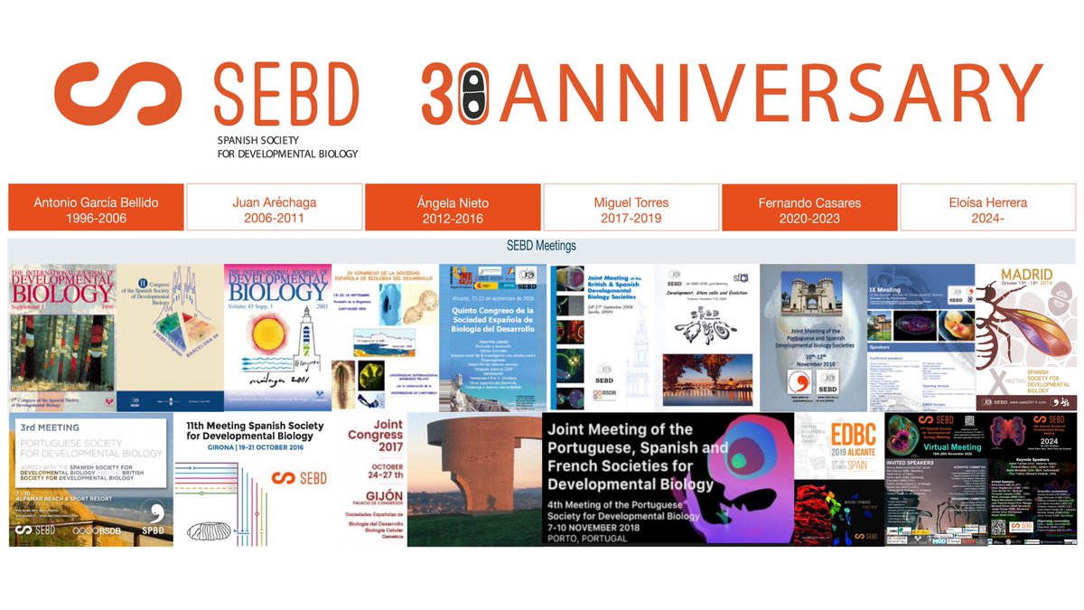 🎉@SEBiolDev we're celebrating! 2024 marks our 30th anniversary🎉 👉30 years of meetings, collaborations, international networking To celebrate, we have prepared a series of videos where past presidents and members share their science and explain the importance of our Society👇🧵