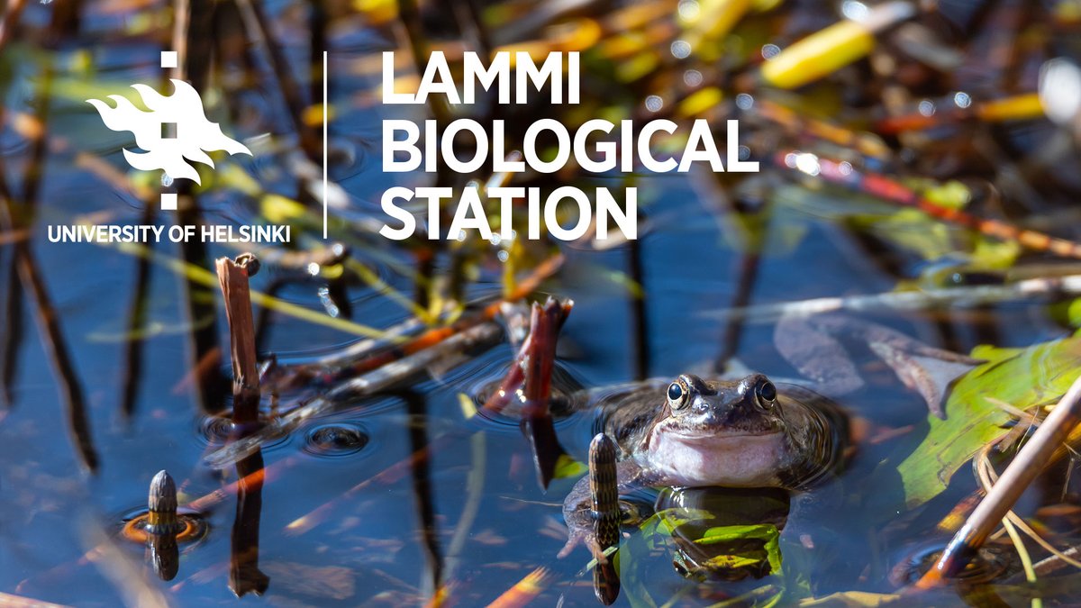 Dr. Caio Graco-Roza is looking for a PhD researcher @LammiStation. The group focuses on studying planktonic communities and their responses to natural and anthropogenic factors both in the Lammi area but also worldwide. Read more: helsinki.fi/en/research-st…