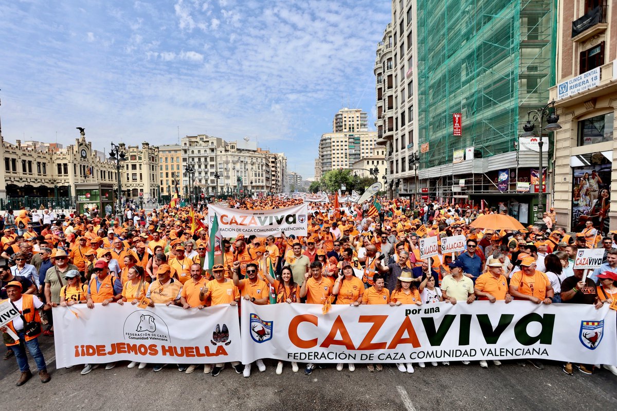🎉 Hoy conmemoramos un año desde la histórica manifestación "Por una Caza Viva". Más de 50,000 cazadores se unieron en una movilización sin precedentes en Valencia, defendiendo con orgullo nuestra pasión. 

Noticia completa aquí 👇
federacioncazacv.com/prensa/la-fede…