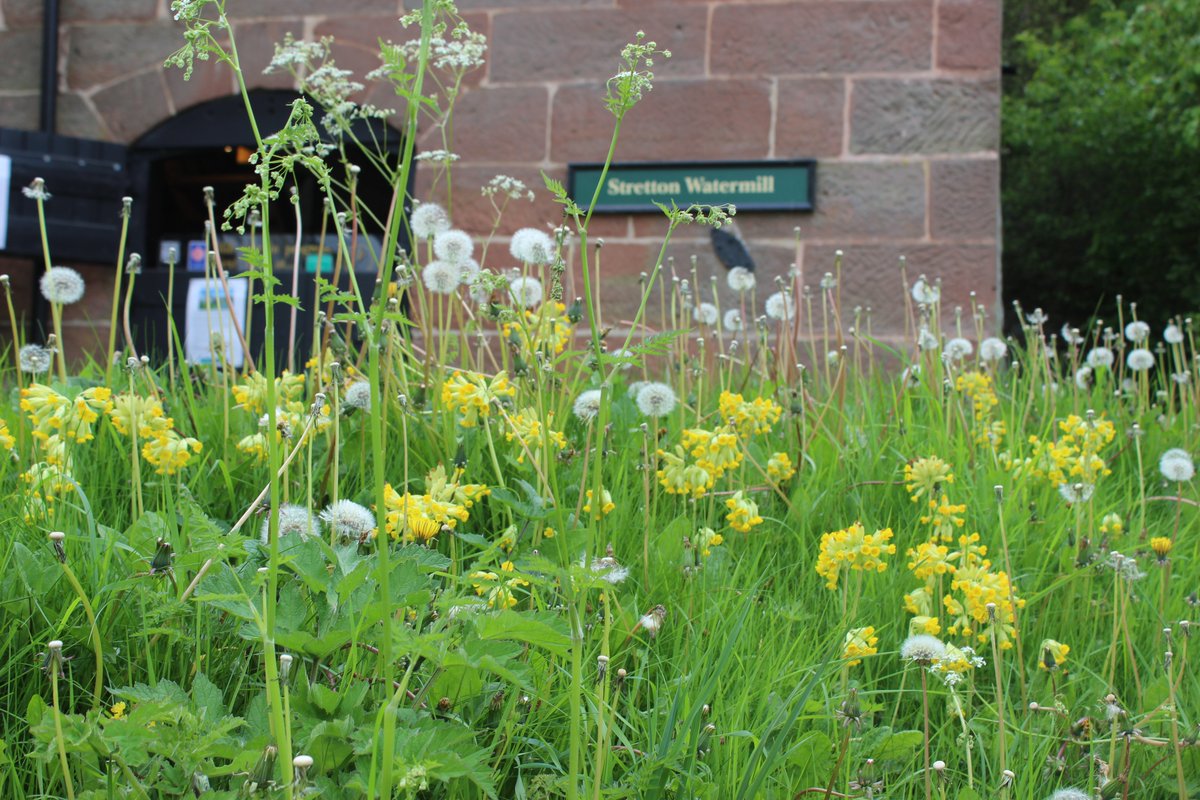 On Sunday 12 May celebrate National Mills Day with the Chester & District Radio Society, when they will broadcast live from Stretton Watermill in the annual 'Mills On The Air' event. They will be making contact with other mills across the world. cwac.co/W8OMS