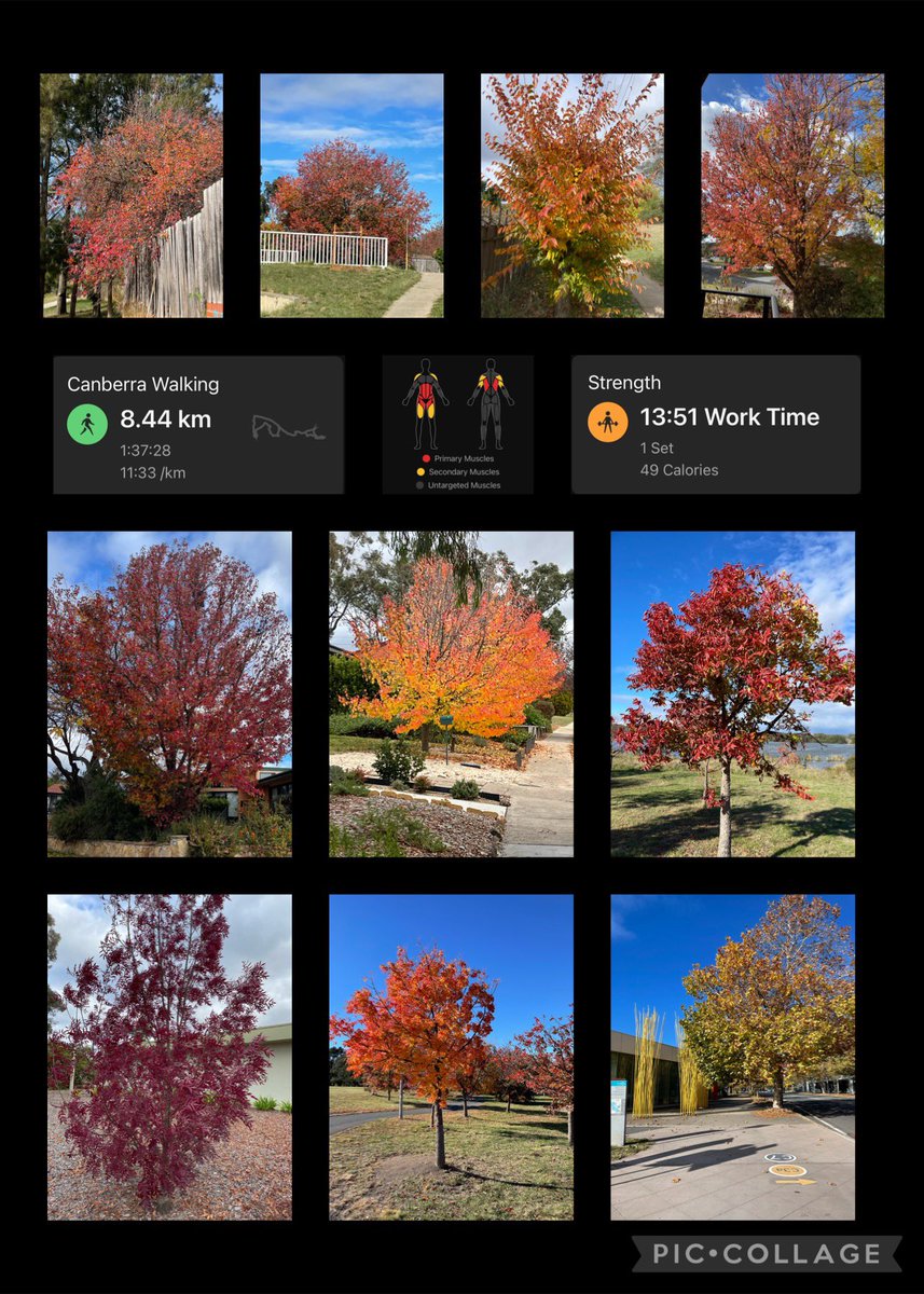 Cathy 🦉 tweet media