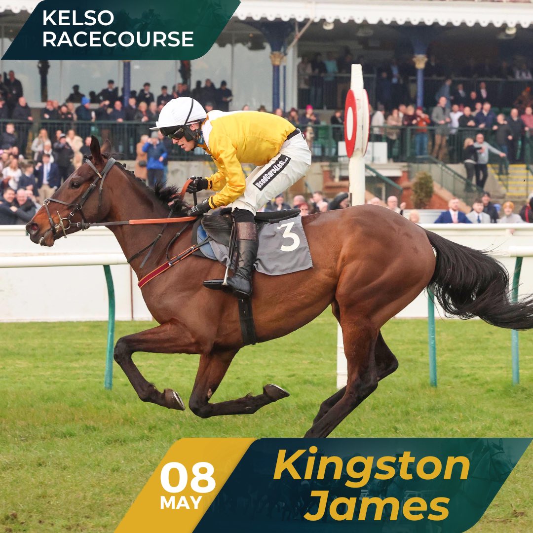 Kingston James has been declared to run at Kelso on May 8th in the 16:55 Racing Post Go North Jodami Series Final Open National Hunt Flat Race over 2m.   @PatrickWadge takes the ride as we look to make it 2 wins from 2 starts! 😍