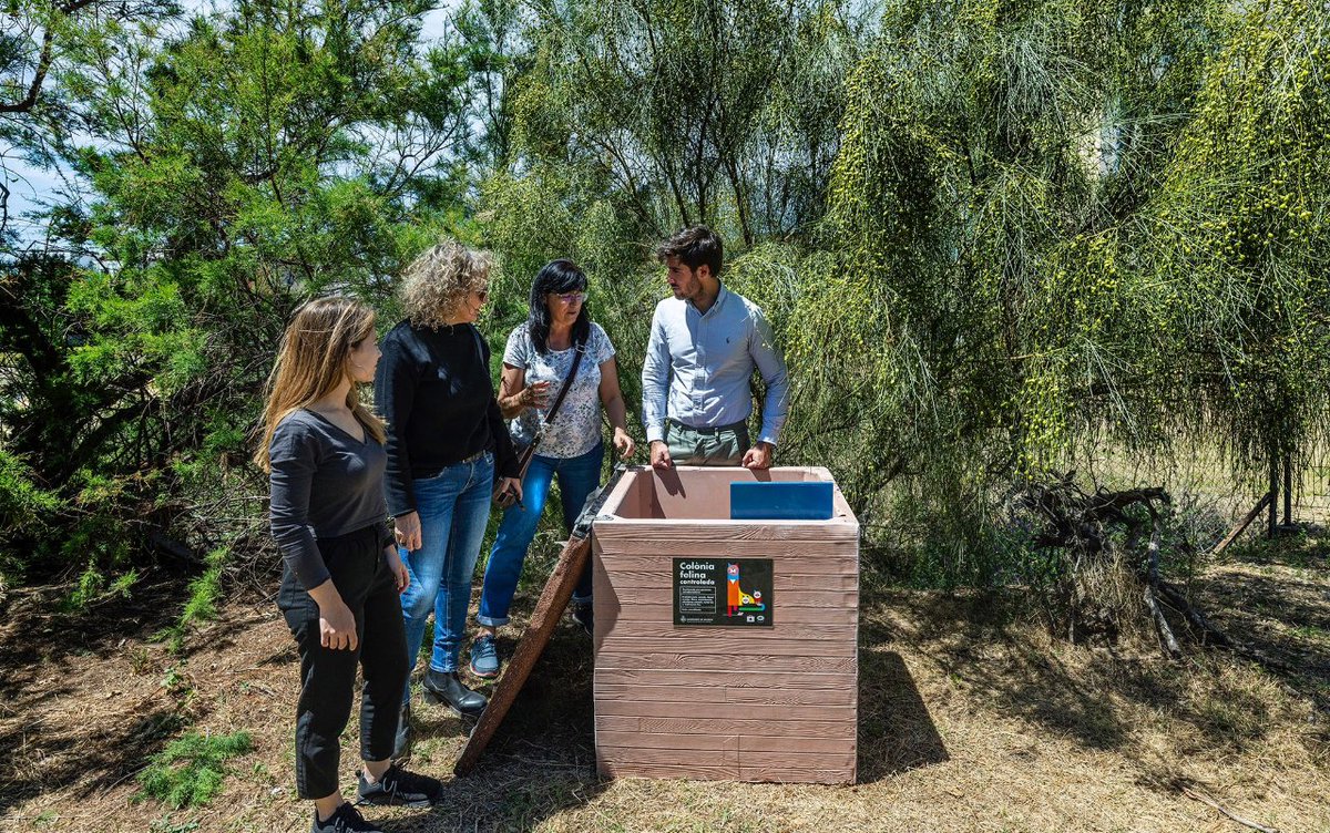 🐱#BenestarAnimal distribuïx vora un centenar de punts d'alimentació per a les colònies felines🐈‍⬛ de #València.

➡️Disposaran d'un punt de menjar higiènic i integrat en els espais naturals on se situen.

🐈50 casetes de formigó i 30 de fusta.

🔗i.mtr.cool/tutnghmupv