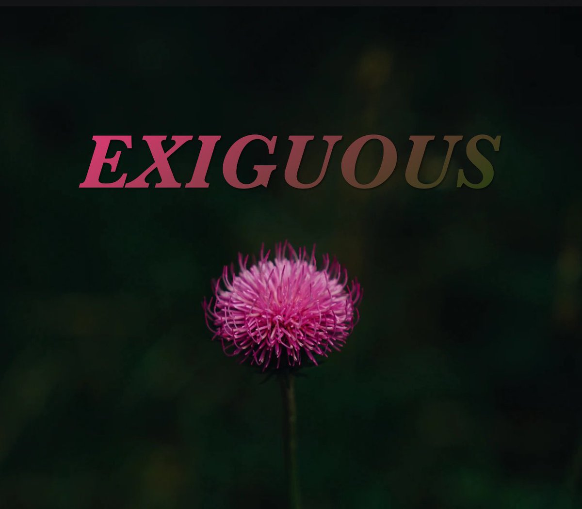 #SymphAndJules word of the day: Exiguous

Don't forget to @ us in your posts, and we'll re-tweet! 💛📷

#WritingPrompts