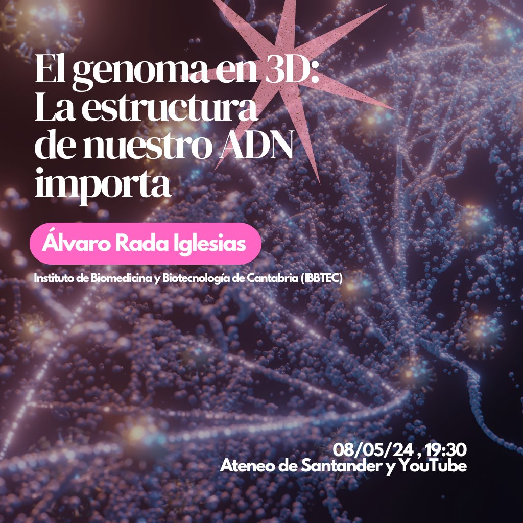 [CHARLA]🔵'El genoma en 3D: La estructura de nuestro ADN importa' 🧬 Álvaro Rada (@IBBTEC) 📍@AteneoSantander 🔬Miércoles 08/05/2024, 19:30 ℹ️ifca.unican.es/es-es/seminar?… 🧫Entrada libre hasta completar aforo