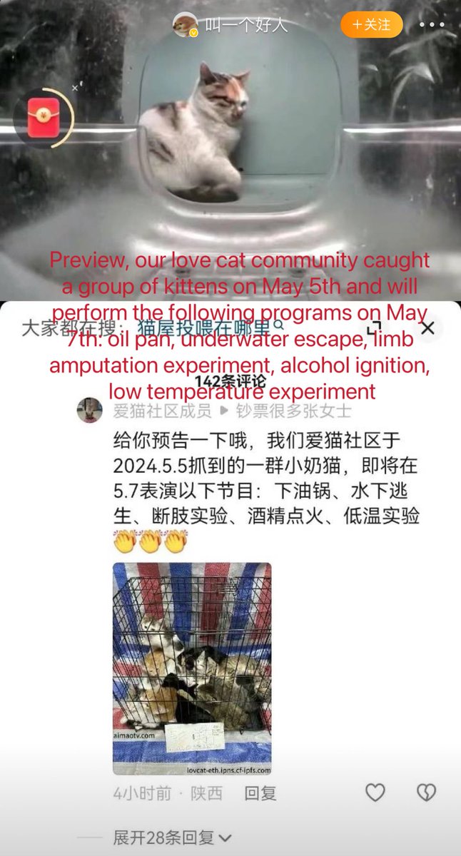 Cat abusers announce the torture of 11 kittens on every Chinese platform, and Chinese police can easily find them, bcz each account corresponds to a unique ID card. But they don‘t do anything.
The whole world has seen Chinese abusers, but only #CCP has not seen them.🤡#China