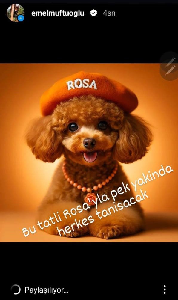 uzmanfinance's tweet photo. 🔥 Açık ara beni son zamanlarda en çok heyecanlandıran #MEME coin projesi $ROSA oldu 

Daha piyasaya çıkmadan ünlüler paylaşmaya başladı bile

Önce #Bitci Borsasında çıkacak olan proje sonra Global Borsalarda Listelenicek diye düşünüyorum 

👉Bitci Kayıt: https://t.co/umsUlxOxMe https://t.co/3FhEeTsSax
