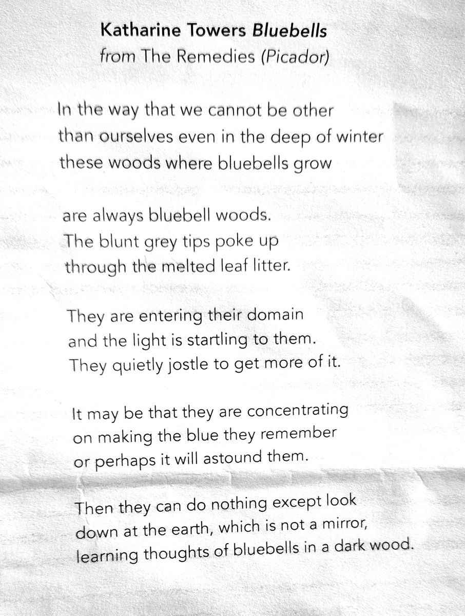 Love this Katherine Towers poem from our @dialectwriters poetry walk on May Day. That mirror 🪞 Bluebells @TowersKatharine