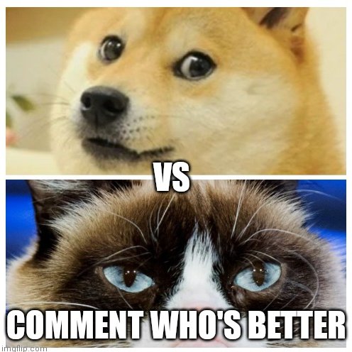 🐱🚀 Get ready to unleash the purr-fect combo of cats and Doge with $CATDOGE! 

Let's meow to the moon together! 🌕🐾

#CATDOGE #CAT #ELONMUSK #ELON #MUSK #DOGE #Aveai #DEXTools #Coingecko