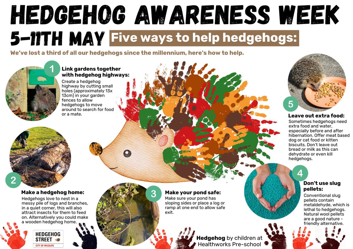 This Week (5th-11th May) is Hedgehog Awareness Week! The children at Healthworks Pre-School in Lemington helped us make this poster after they spotted hedgehogs in their garden! So together we've been learning all about hedgehogs and how to help them. #HedgehogWeek
