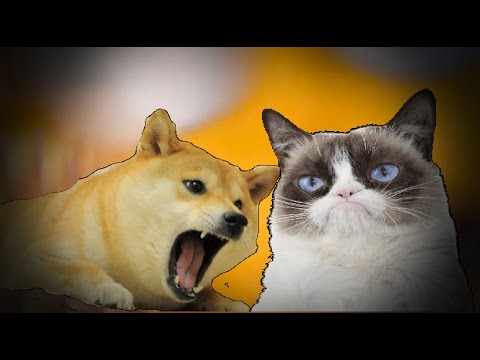 🚀🐱 Hold on tight as $CATDOGE takes you on a rocket ride to the moon! 

It's gonna be meow-nificent! 🌕🚀

#CATDOGE #CAT #ELONMUSK #ELON #MUSK #DOGE #Aveai #DEXTools #Coingecko