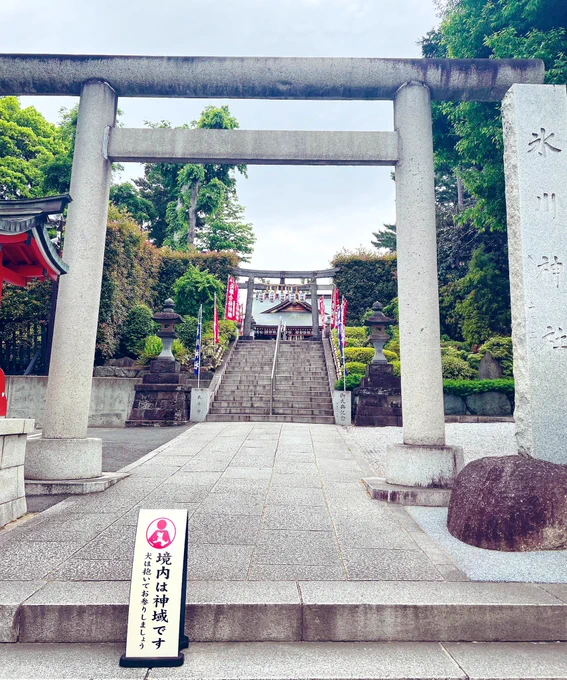 旅の〆は…
📺放送前に🌊さん祈願⛩
御朱i印はいつものと、書き置きの切り絵に一目惚れして👀✨️💘
2種類いただいて来ました🙏
飾りたい🖼 