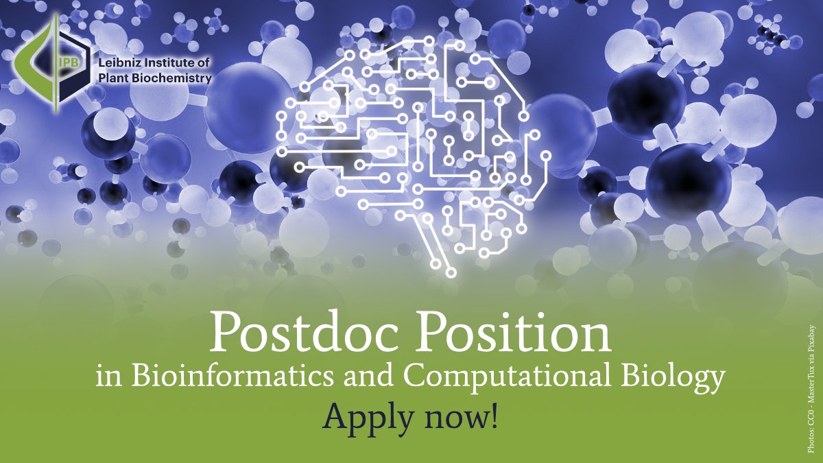 📢We're offering a #BMBF-funded #PostdocPosition in @mehdi_d_davari's group to work on the development of #MachineLearning architectures for predicting & designing enzymatic reactions.

More info: ipb-halle.de/en/career/job-…

Apply now!
#Bioinformatics #ComputationalBiology #Scijobs