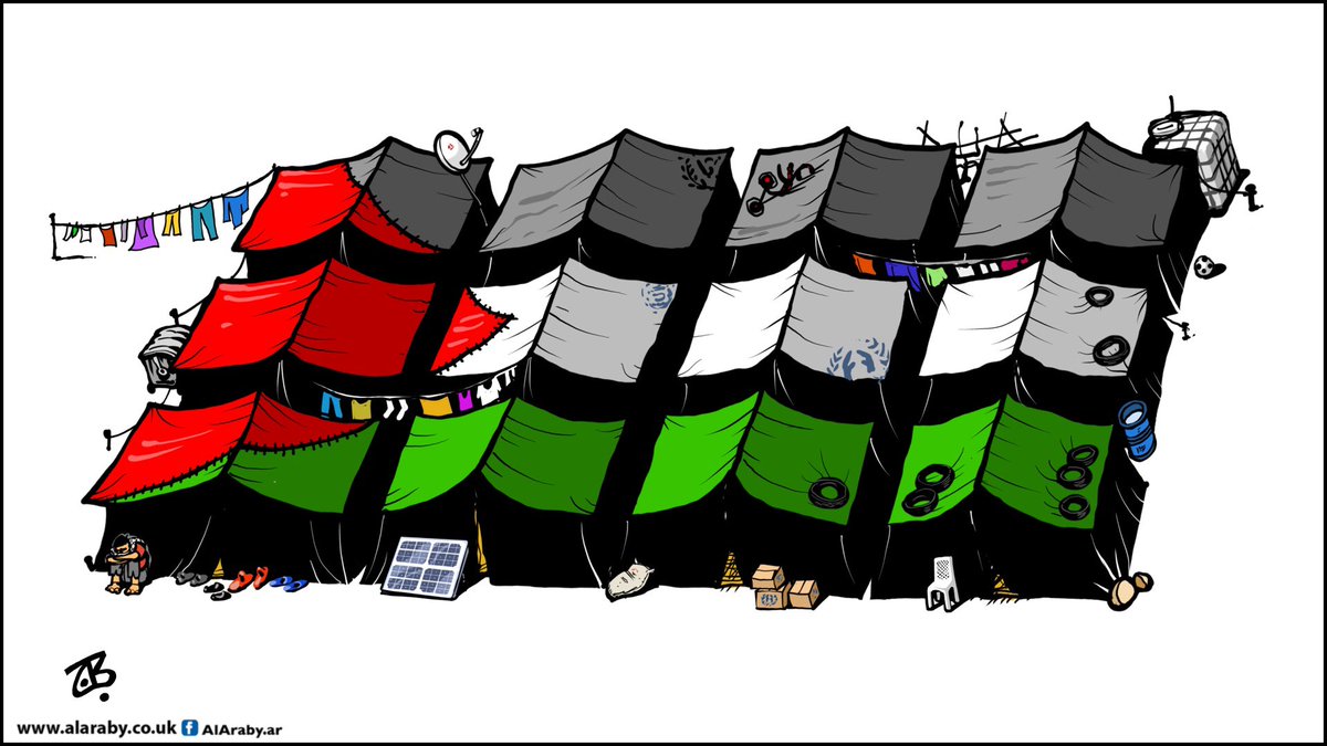 Small Girl 🇵🇸 tweet media