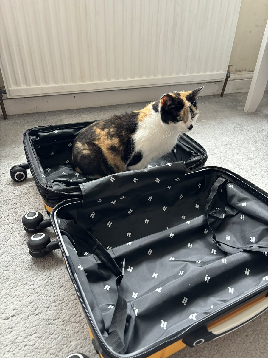 all packed for paris