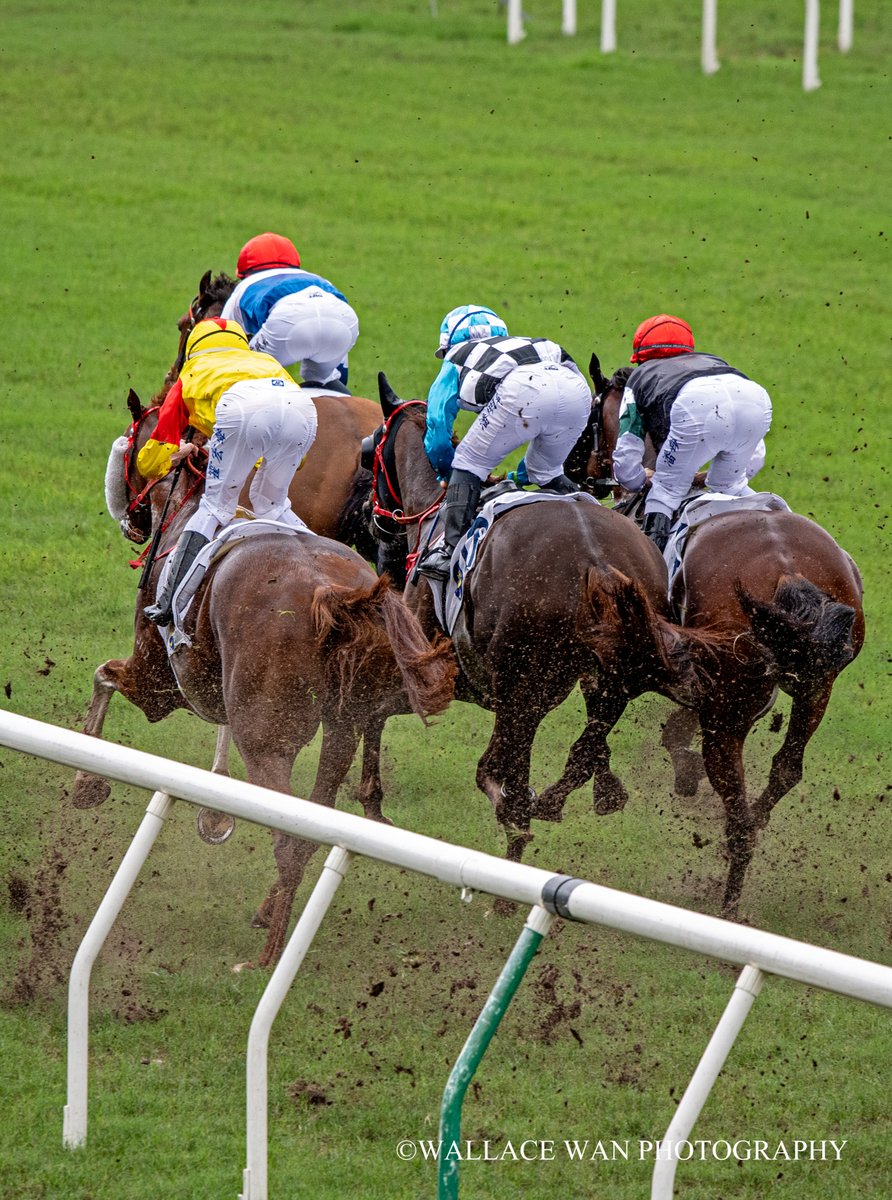 The kickback on the track during a 1000 meter race!
#superjockey #Horse #hkracing #hkphotographer #art #horsephoto #調教師 #horseracing #jockeys #騎手 #競馬場 #shatinracecourse #HorseRacing