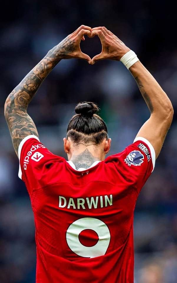 Alasan Darwin Nunez menghapus semua foto-fotonya di IG, yang mana berhubungan sama Liverpool, karna Darwin menerima pesan abuse hingga pelecehan seksual untuk keluarganya.

Hal ini kabarnya membuat Darwin kecewa dengan sikap dan kelakuan fans Liverpool sendiri.

😟😟