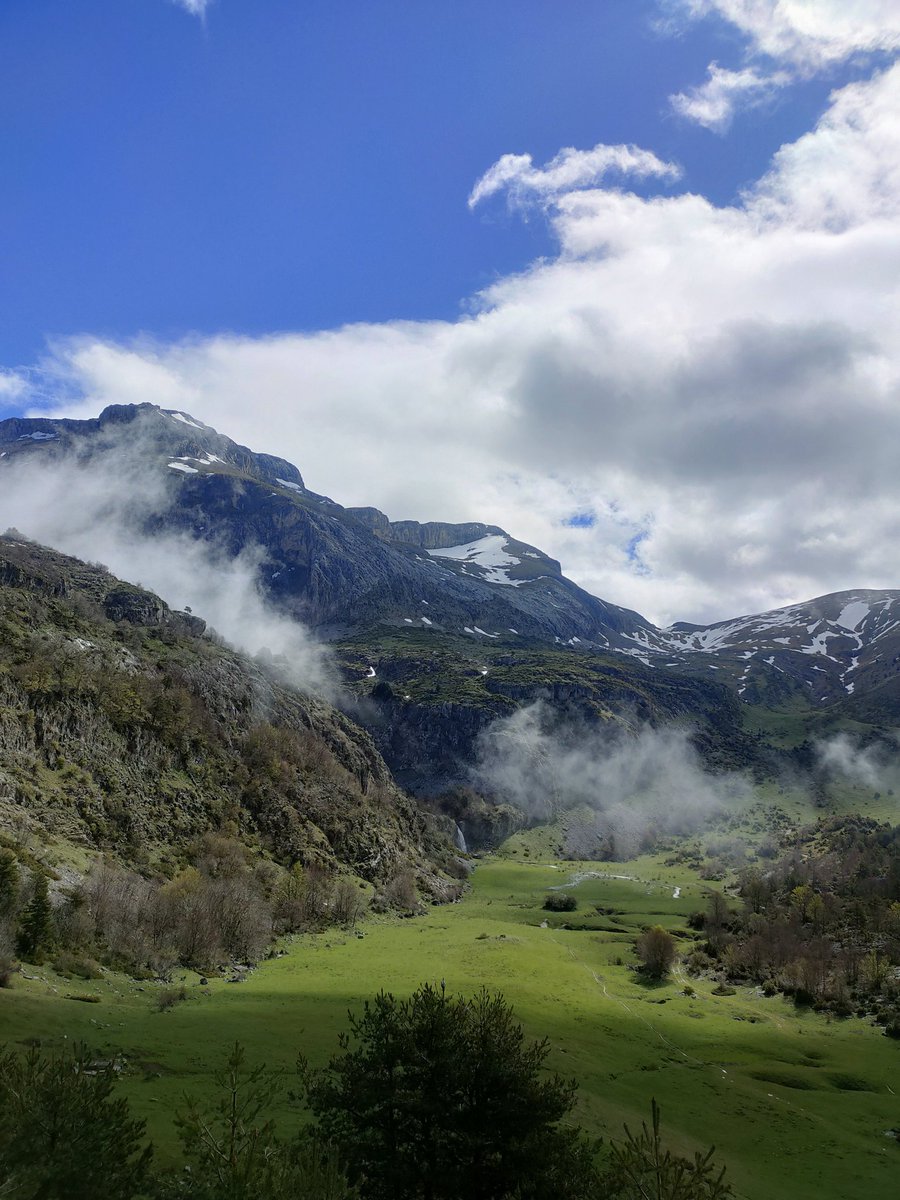 Verde que te quiero verde.....