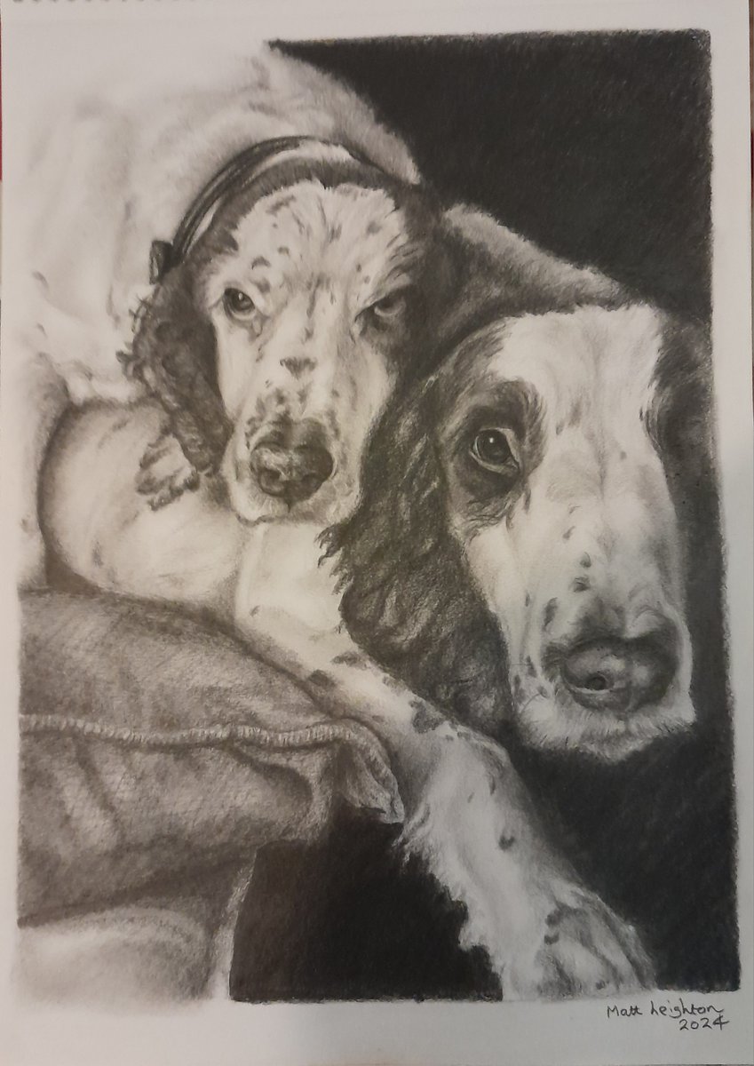 A rencent commission #pencildrawing #portrait #dogs #petportraits #pets
