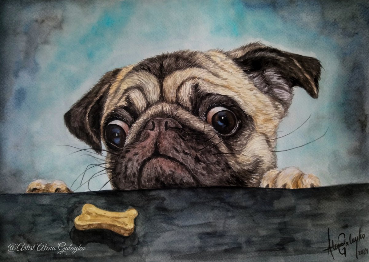 🐶 'I found a snack' 🐶
Finished watercolor painting on paper, size 11,7x16,5 inches 😊 Want a painting of your dog? Ask me how to order! 😉
#dog #dogart #pug #dogportrait #petportrait #dogpainting #watercolor #watercolorart #aquarelle #artforsale #fineart #pugs #traditionalart
