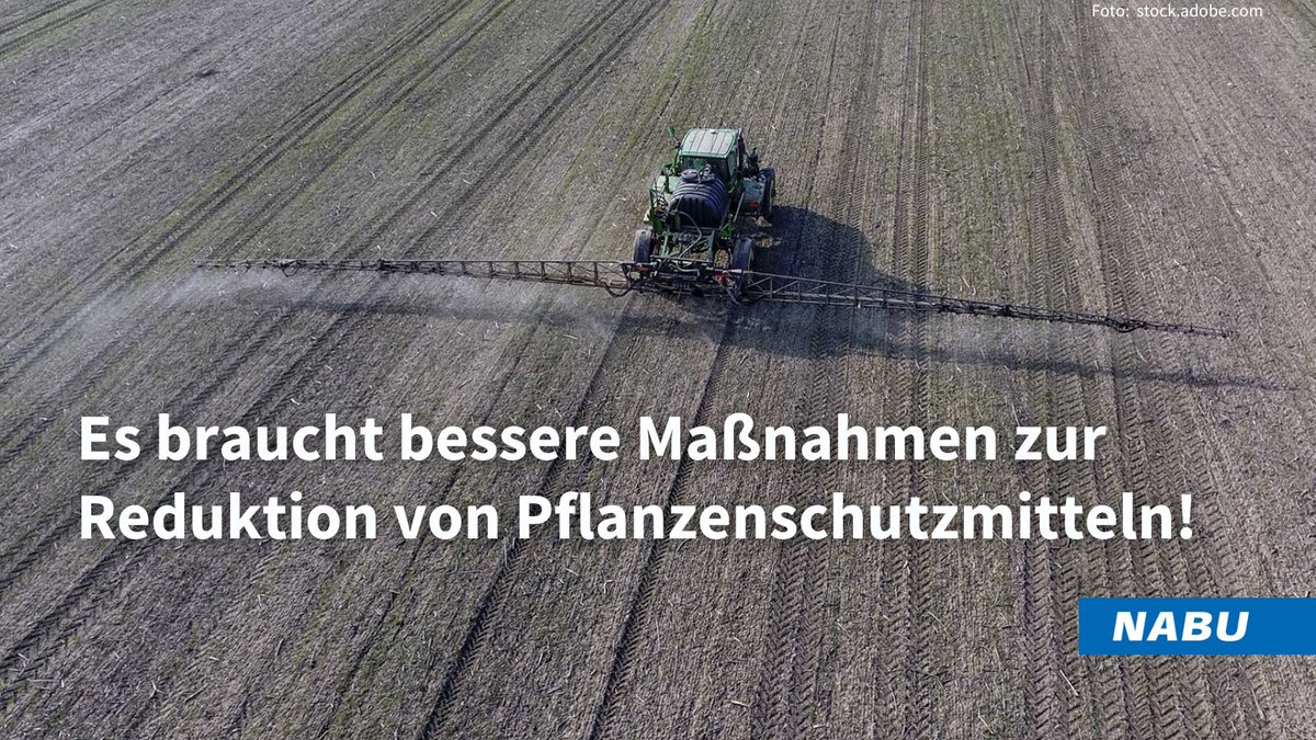 Das vom @bmel vorgelegte Zukunftsprogramm Pflanzenschutz reicht nicht aus ❌. Deshalb fordern wir gemeinsam von @cem_oezdemir : Ergreifen Sie verbindliche erreichbare Maßnahmen, um die notwend. Reduktion von chemisch-synthetischen Pestiziden umzusetzen 💪. dnr.de/sites/default/…