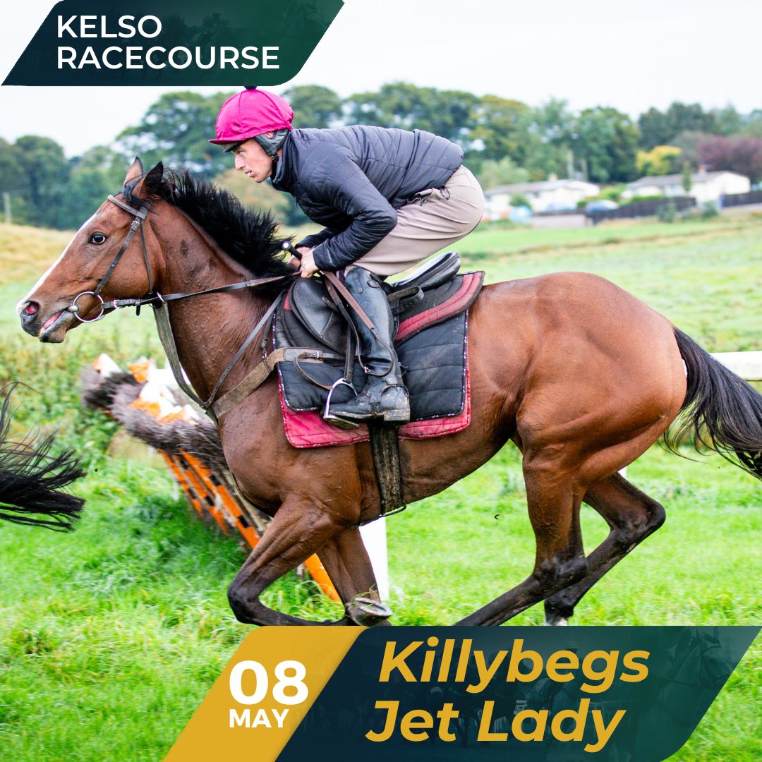 Killybegs Jet Lady has been declared to run at Kelso on May 8th in the 14:10 Howden Novices' Hurdle over 2m5f.   Alan Doyle takes the ride! 🙌📍